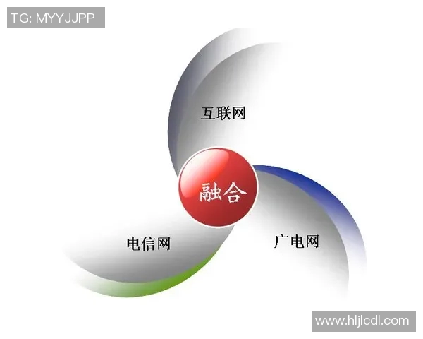 广州极限运动队意识表现的数据分析与研究探讨